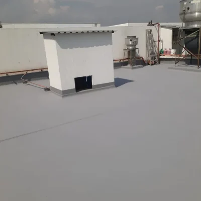 WhatsApp Image 2024-04-18 at 2.27.20 PM (1)